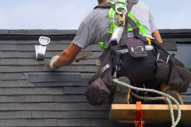 Roof Gutter Cleaning in Bensley, VA