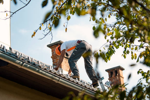 Best Roof Gutter Cleaning  in Bensley, VA