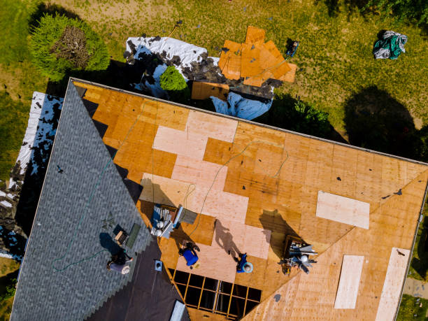 Best Local Roofing Companies  in Bensley, VA