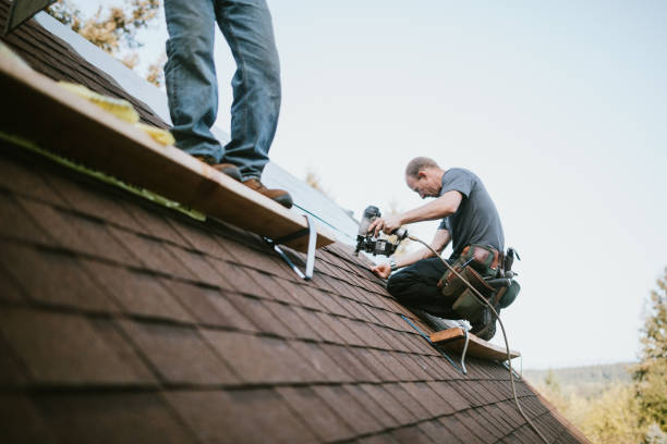 Best Roof Replacement Cost  in Bensley, VA